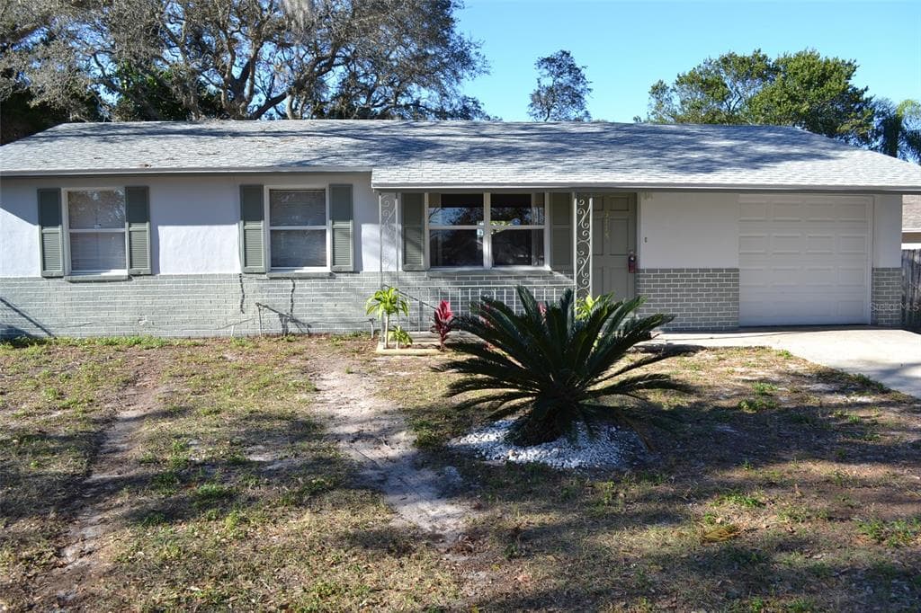 3118 PALM COURT DUNEDIN, FL 34698