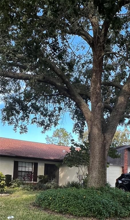 2012 SAGINAW COURT OLDSMAR, FL 34677