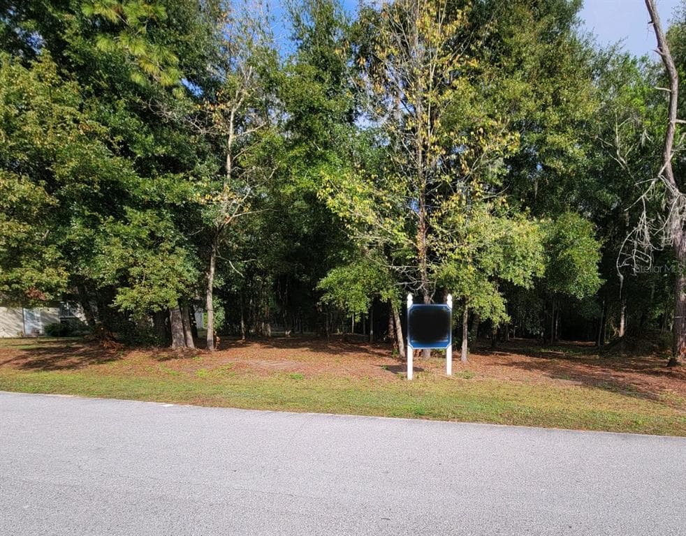 36811 SUMMERS RIDGE DRIVE DADE CITY, FL 33525