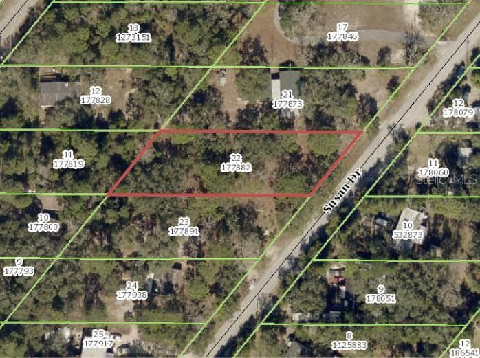 SUSAN DRIVE SPRING HILL, FL 34606