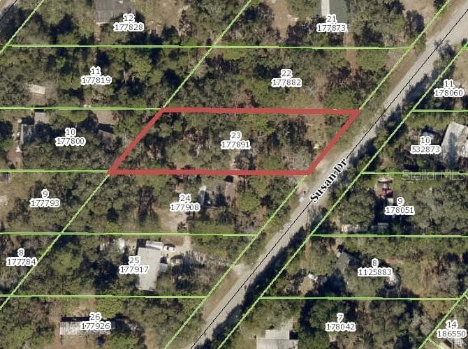 SUSAN DRIVE SPRING HILL, FL 34606