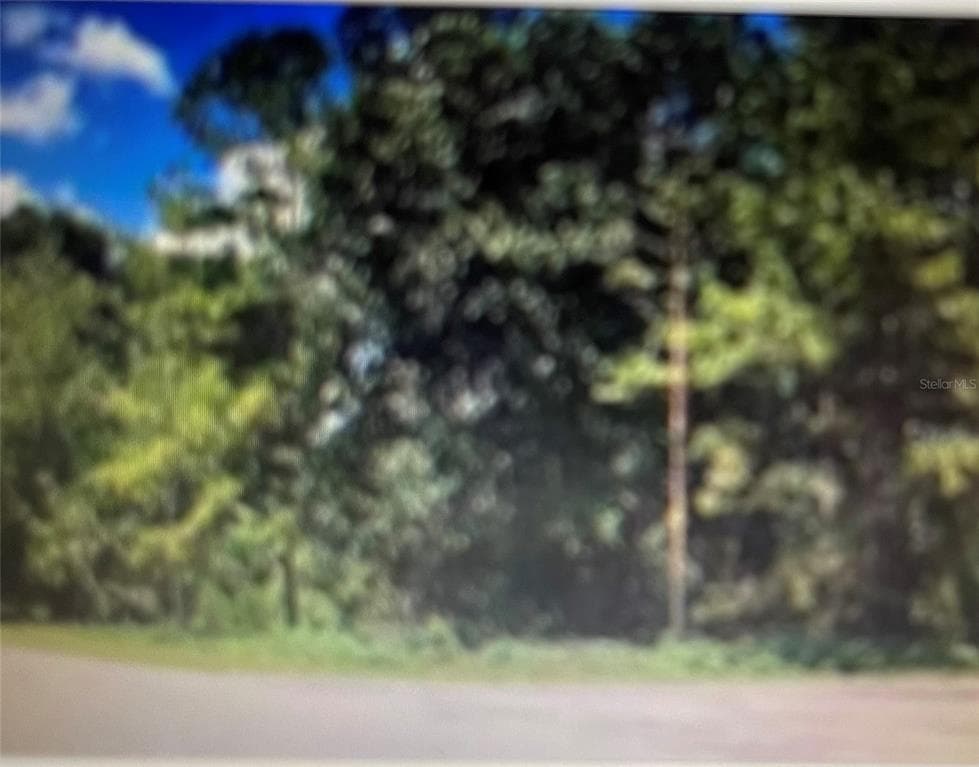 KENT GROVE DRIVE SPRING HILL, FL 34610