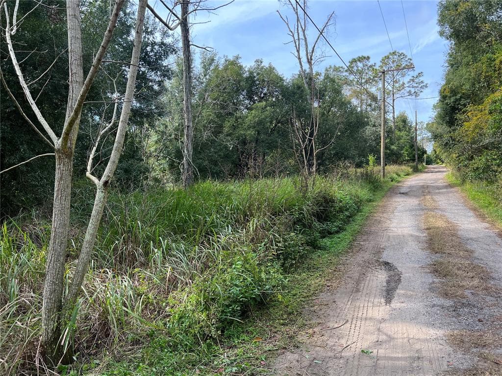 00 HAMRICH DRIVES DADE CITY, FL 33525