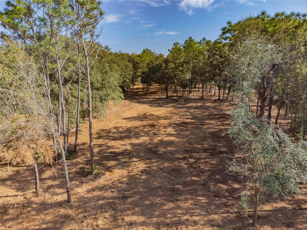 WOODRIDGE DRIVE POLK CITY, FL 33868