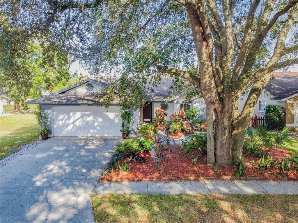 24831 SILVERSMITH DRIVE LUTZ, FL 33559