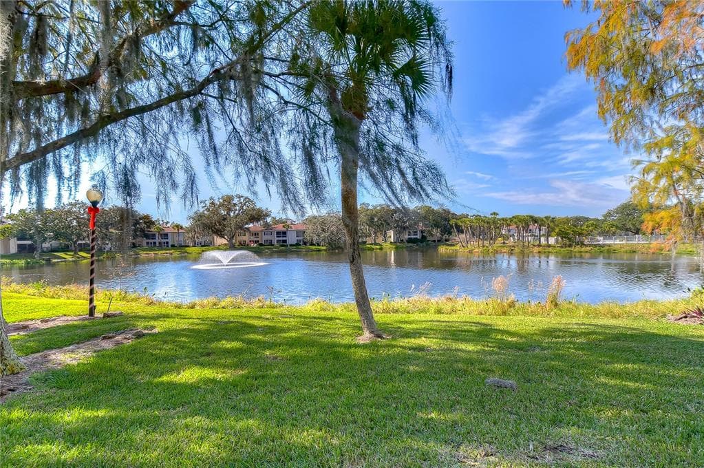 10372 CARROLLWOOD LANE UNIT 244 TAMPA, FL 33618