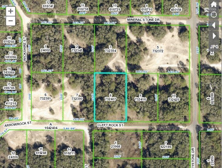 CLEFT ROCK ST WEBSTER, FL 33597