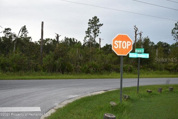 11120 YELLOW HAMMER ROAD WEEKI WACHEE, FL 34614