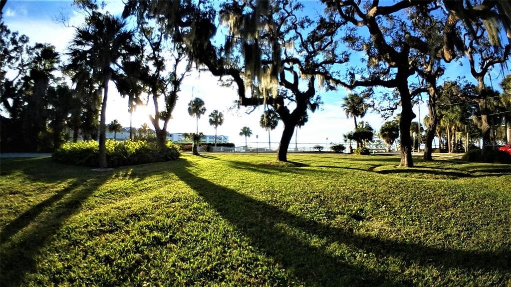 835 VICTORIA DRIVE DUNEDIN, FL 34698