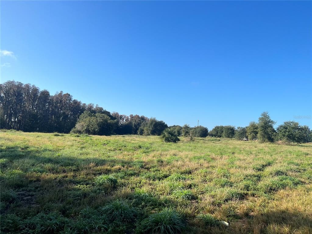 FLORIDA BOYS RANCH ROAD GROVELAND, FL 34736