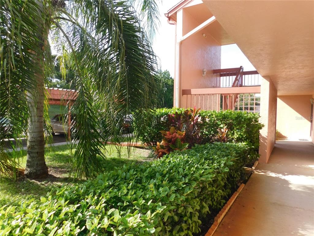 135 LAKESIDE DRIVE OLDSMAR, FL 34677