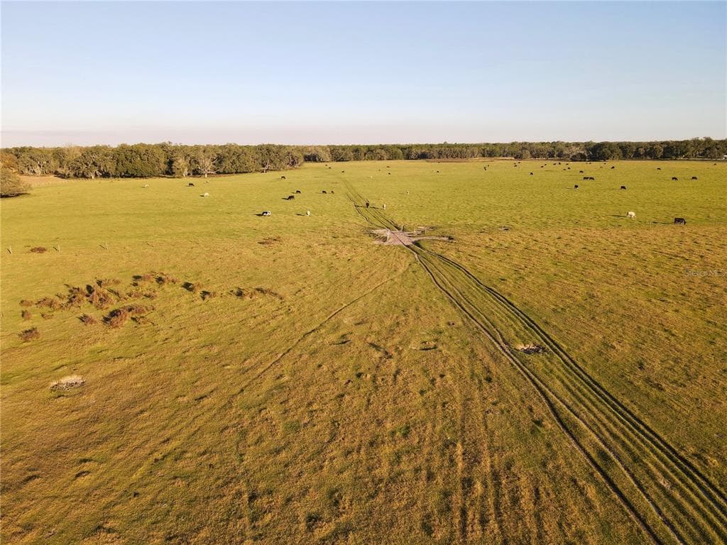 7905 BERRY ROAD ZEPHYRHILLS, FL 33540