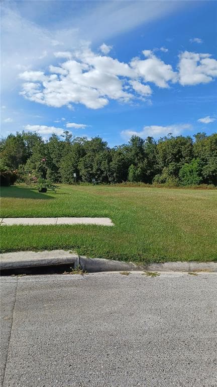 542 LINDSAY ANNE COURT PLANT CITY, FL 33563