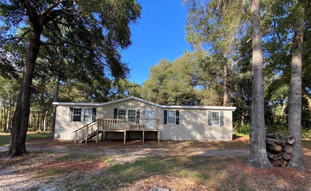 18314 DEASON DRIVE SPRING HILL, FL 34610