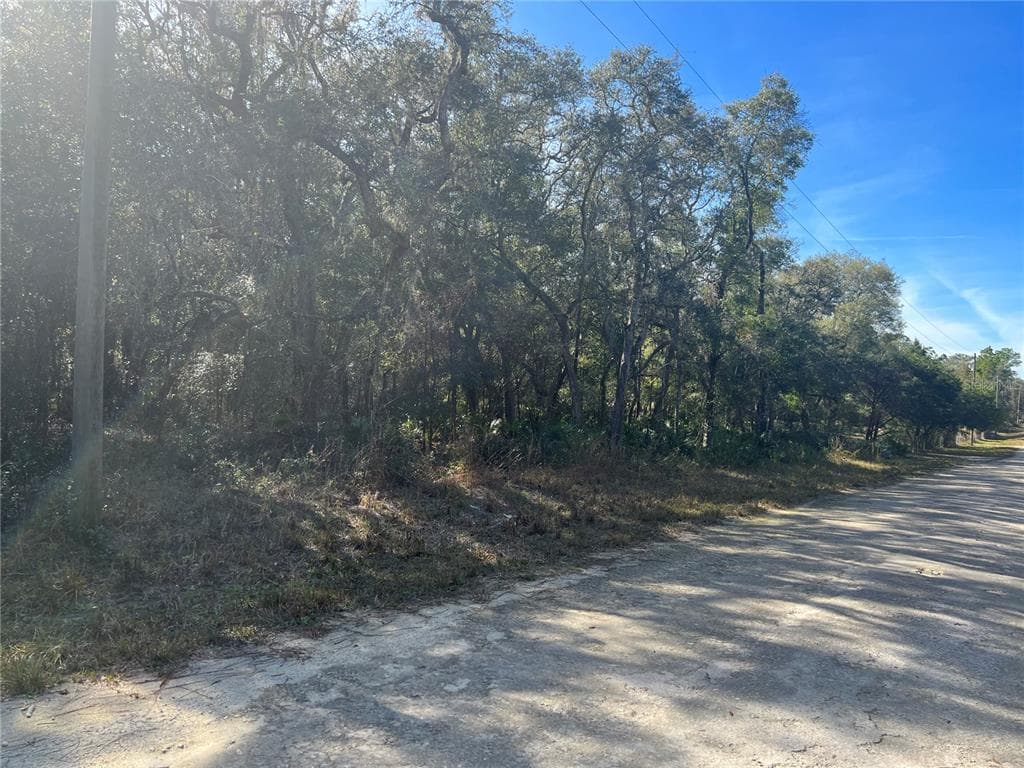 WEST BLVD WEBSTER, FL 33597