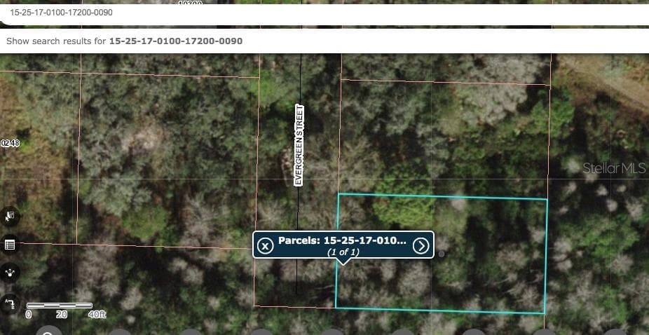 EVERGREEN STREET NEW PORT RICHEY, FL 34654