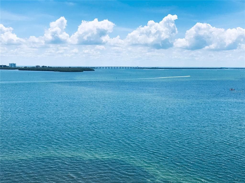 6372 PALMA DEL MAR BOULEVARD S UNIT 1002 ST PETERSBURG, FL 33715