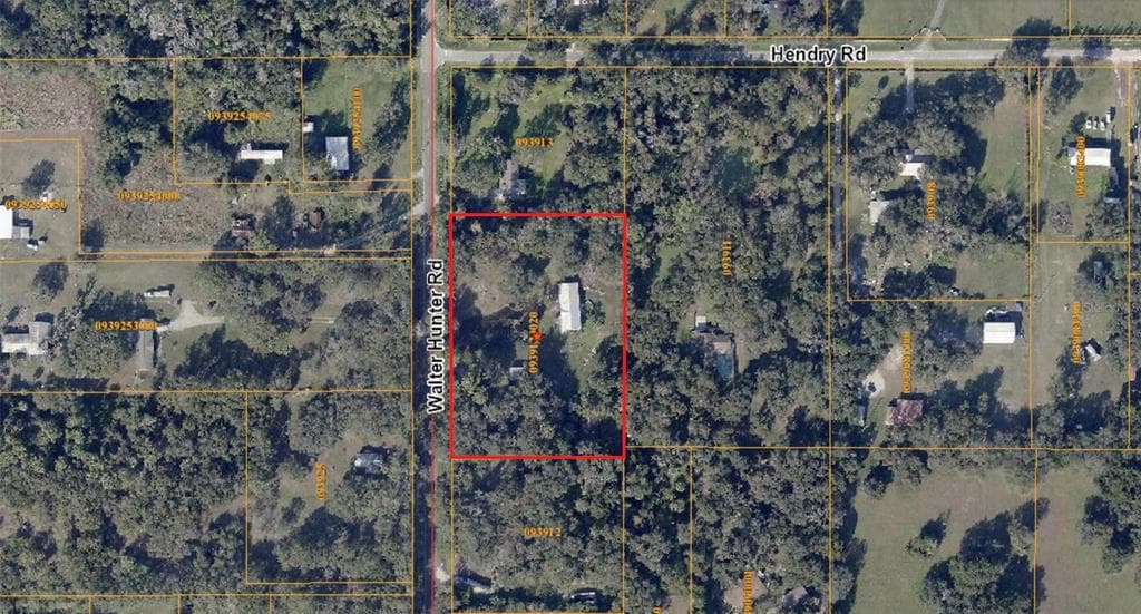 11110 WALTER HUNTER ROAD LITHIA, FL 33547