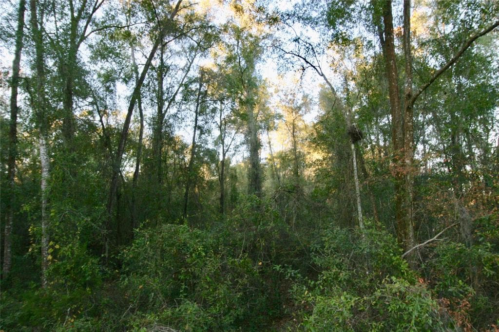 CO GRADE BELL, FL 32619