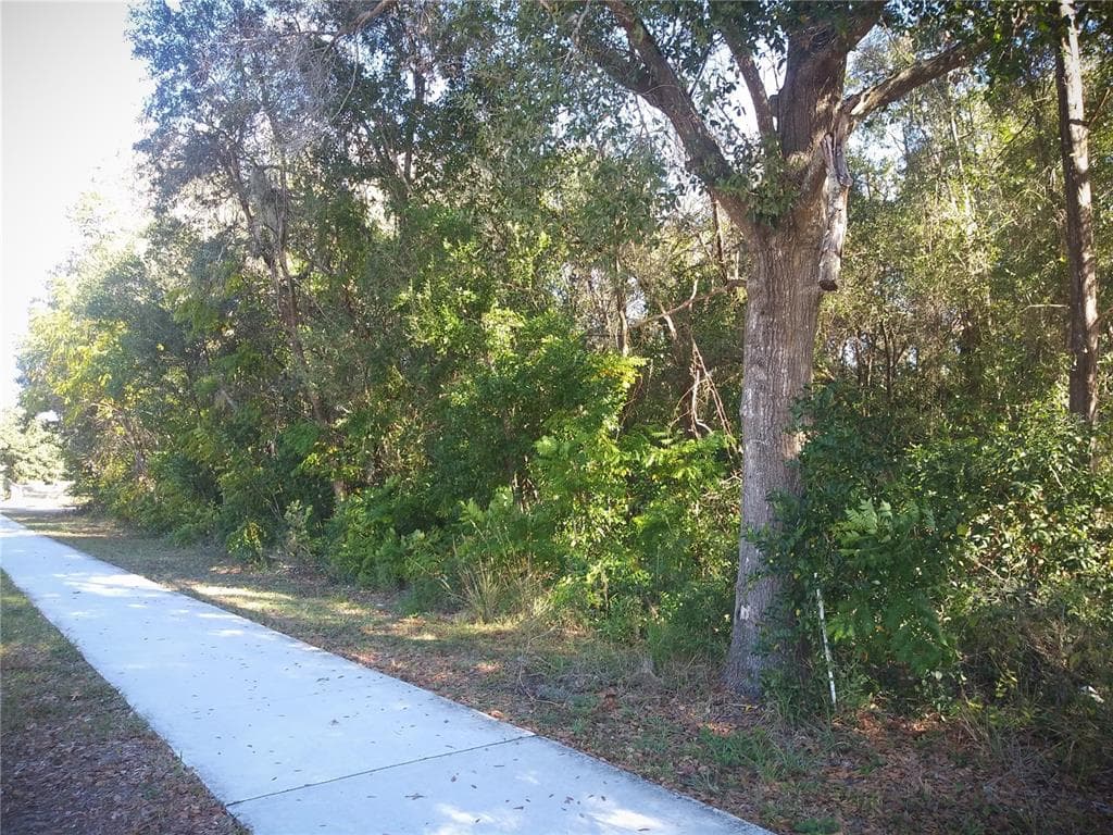 13058 HICKS ROAD HUDSON, FL 34669