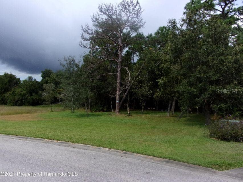 4281 LORDINGS LANE SPRING HILL, FL 34607