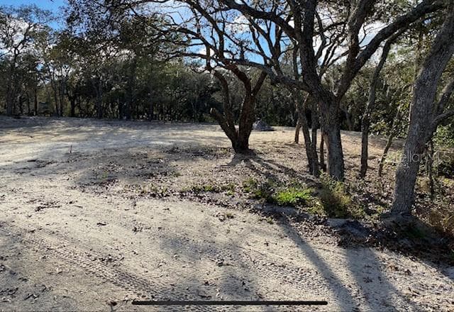13000 BRUTUS HUDSON, FL 34667