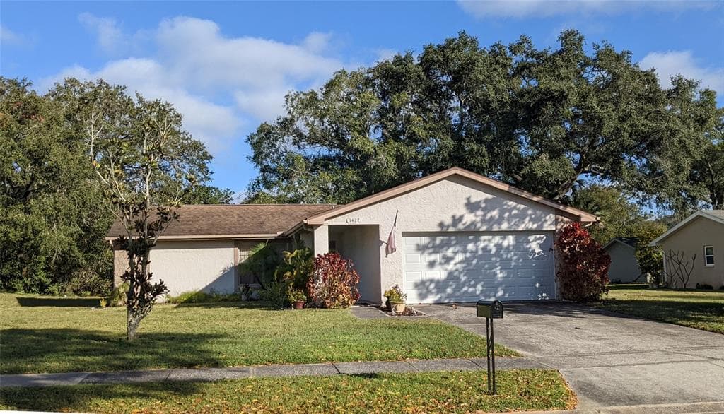 1427 QUEEN ANNE BOULEVARD PALM HARBOR, FL 34684