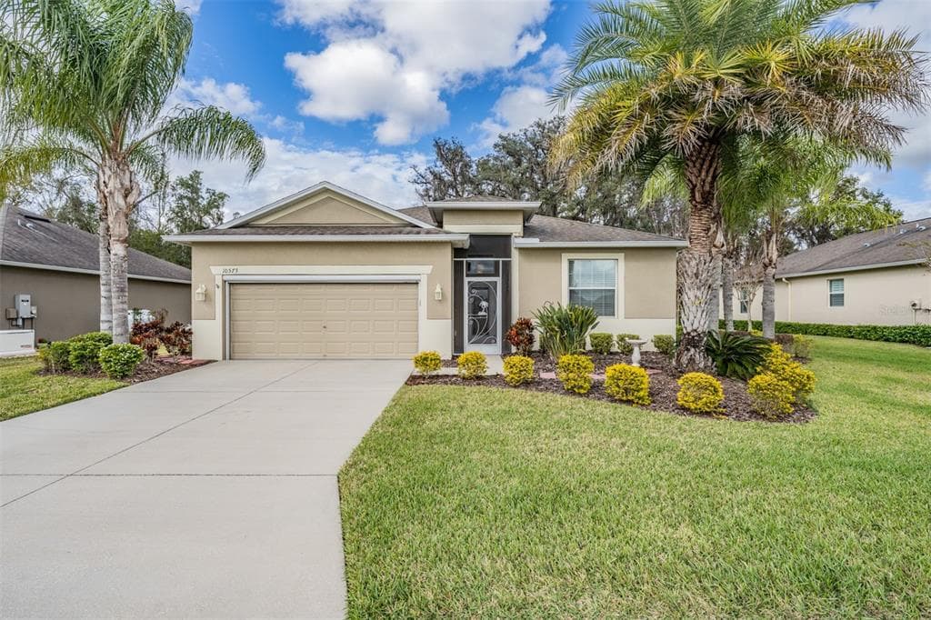 10573 BELMULLET DRIVE SAN ANTONIO, FL 33576