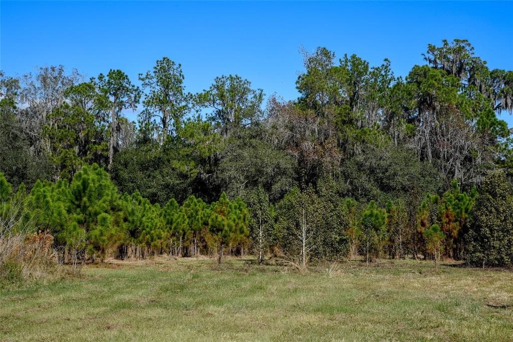 VAN HORN LITHIA, FL 33547