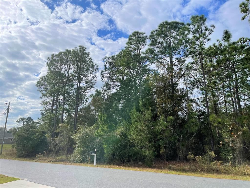 0 CORONADO DRIVE SPRING HILL, FL 34609