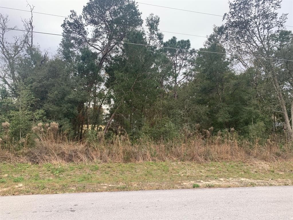 0 SE 161ST PLACE SUMMERFIELD, FL 34491
