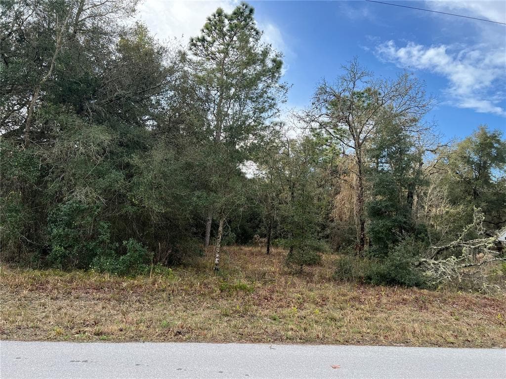 0 LONG LOT #6 CIRCLE WEBSTER, FL 33597