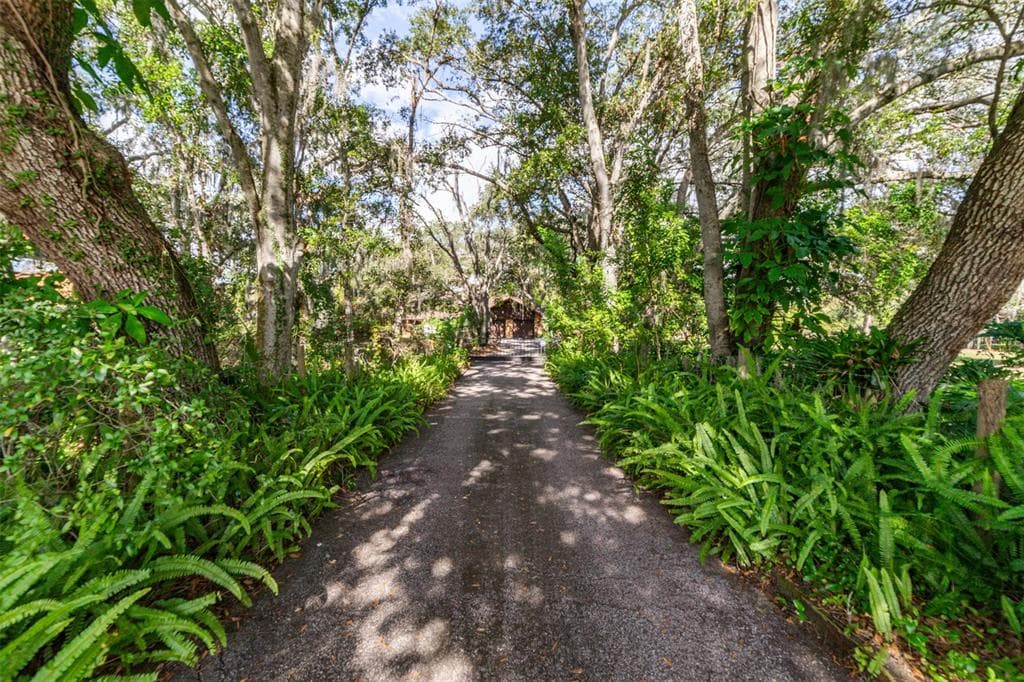 10610 JOHANNA AVENUE RIVERVIEW, FL 33578