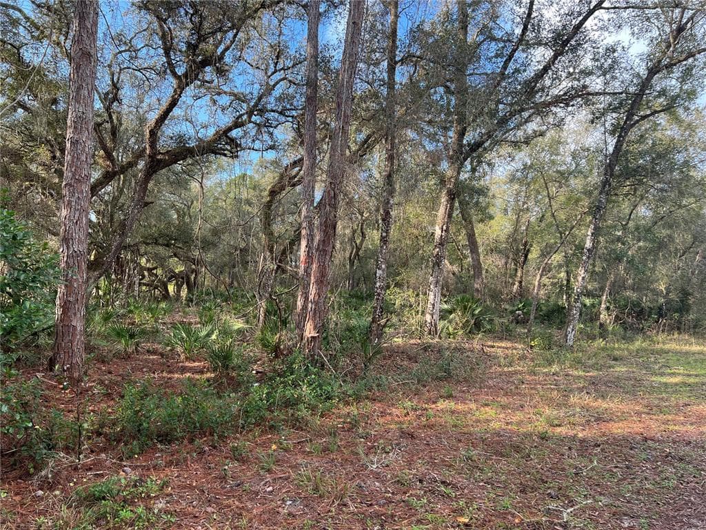 0 LONG LOT #10 CIRCLE WEBSTER, FL 33597