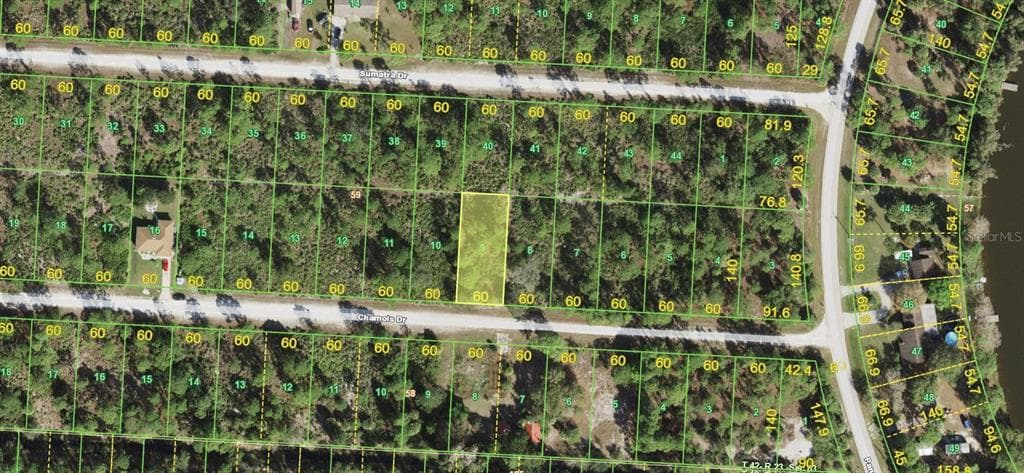 27118 CHAMOIS DRIVE PUNTA GORDA, FL 33955