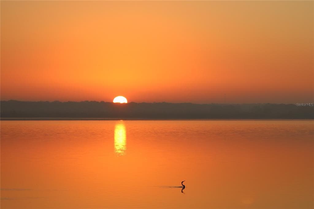 645 CR 485A LAKE PANASOFFKEE, FL 33538