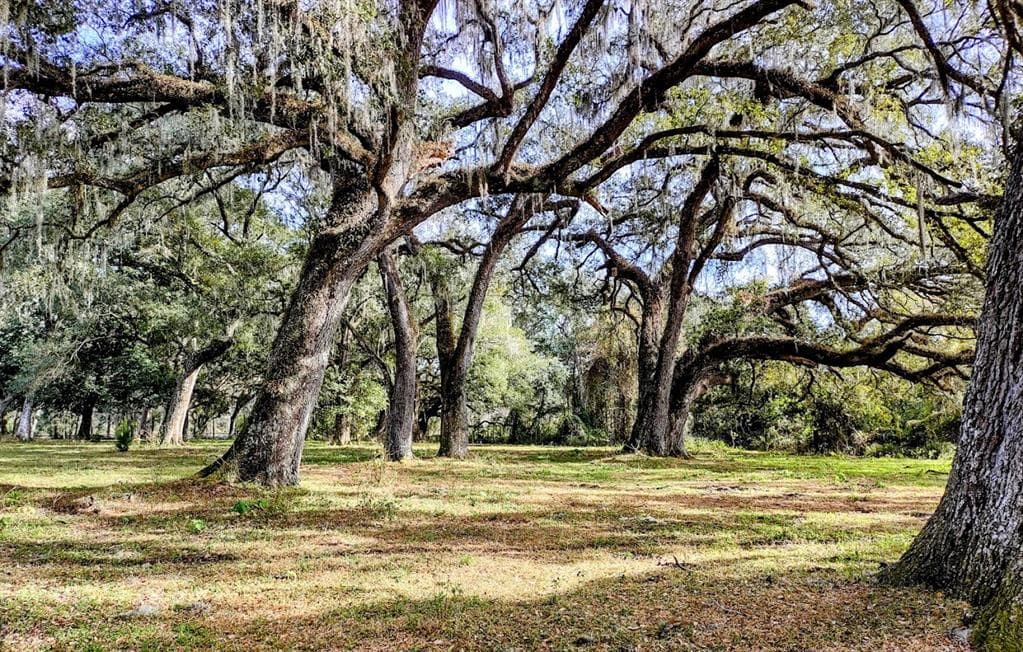 US HWY 301 DADE CITY, FL 33523