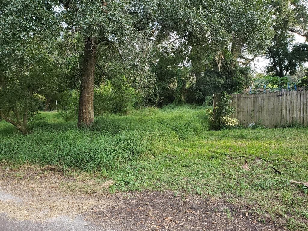 707 LEXINGTON BOULEVARD TAMPA, FL 33612