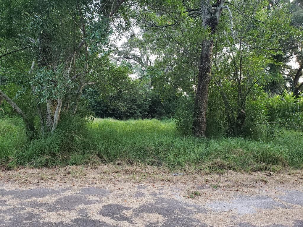 709 LEXINGTON BOULEVARD TAMPA, FL 33612