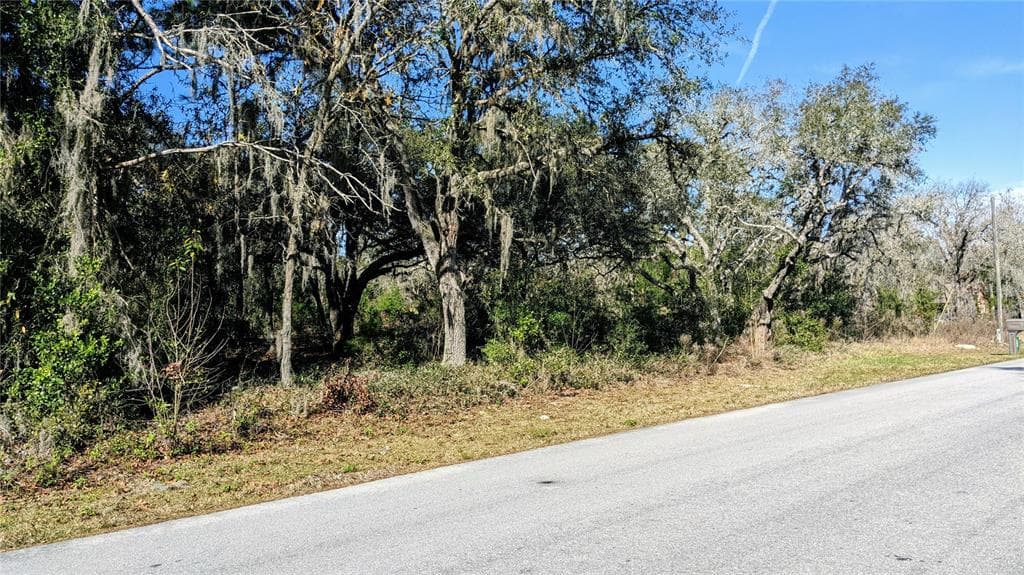 186 N FRESNO AVENUE HERNANDO, FL 34442