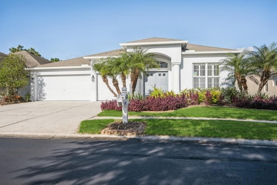 3443 JUNEBERRY DRIVE WESLEY CHAPEL, FL 33543