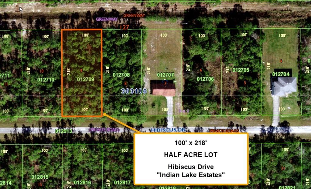 718 HIBISCUS DRIVE INDIAN LAKE ESTATES, FL 33855