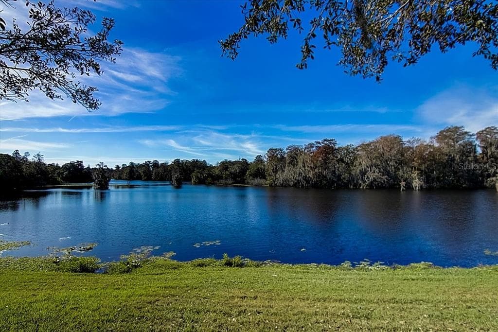 7425 TERRACE RIVER DRIVE TEMPLE TERRACE, FL 33637