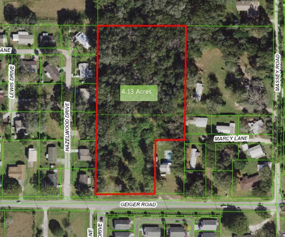 GEIGER ZEPHYRHILLS, FL 33542