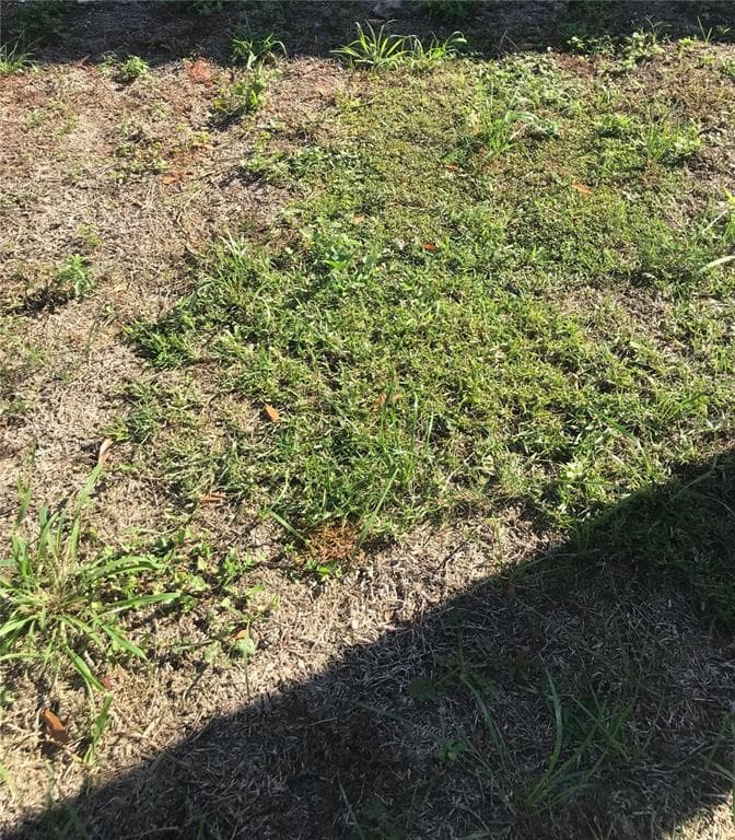 7279 DONAHUE STREET PORT CHARLOTTE, FL 33981