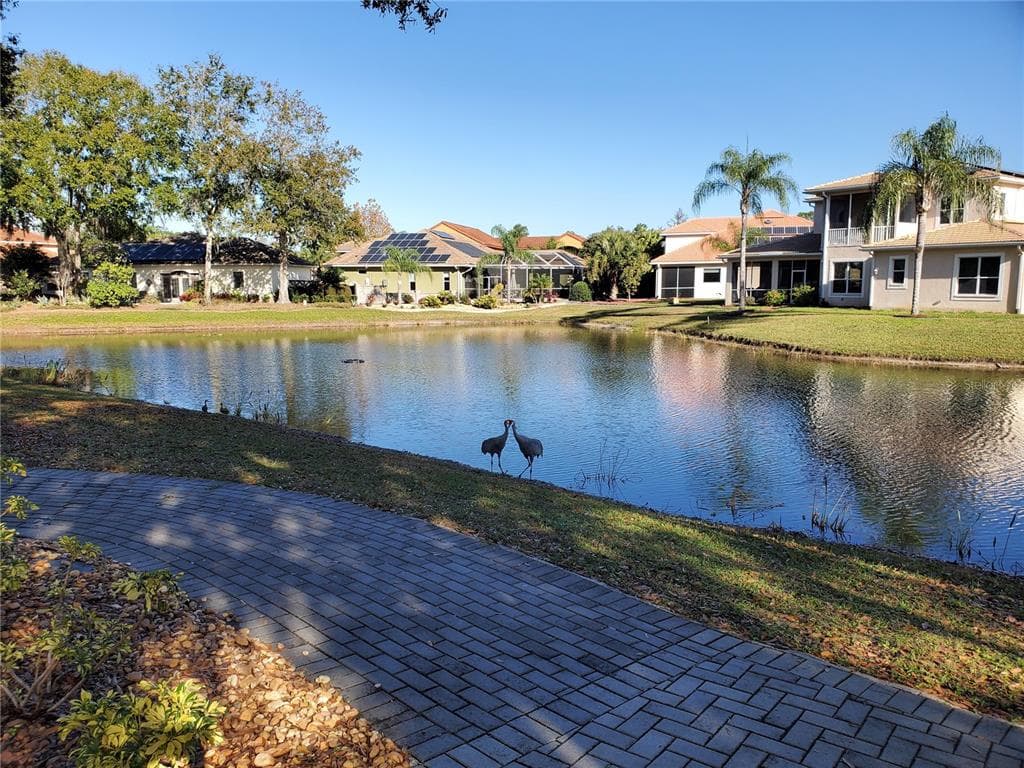 6816 DALI AVENUE UNIT 202 LAND O LAKES, FL 34637