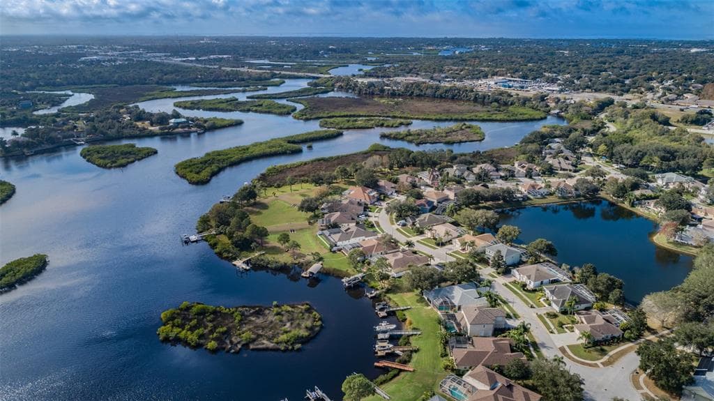 1285 BLACKRUSH DRIVE TARPON SPRINGS, FL 34689