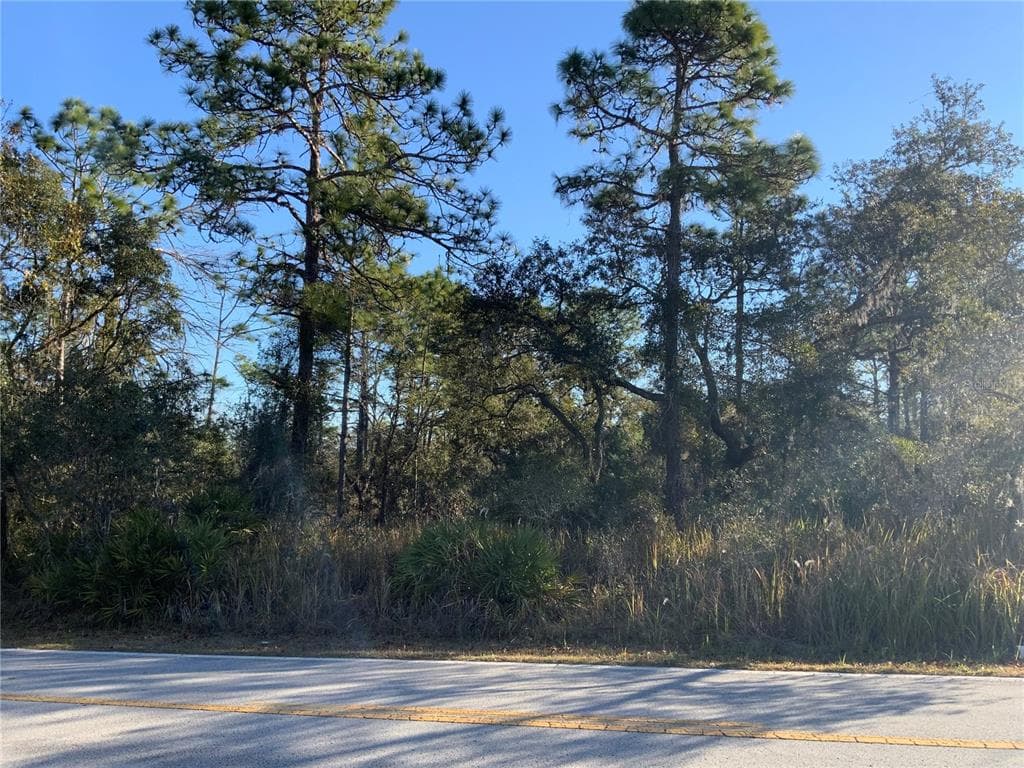 8362 NIGHTINGALE ROAD WEEKI WACHEE, FL 34613