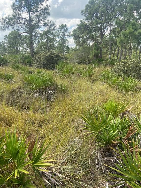 29287 MARIS DRIVE PUNTA GORDA, FL 33982