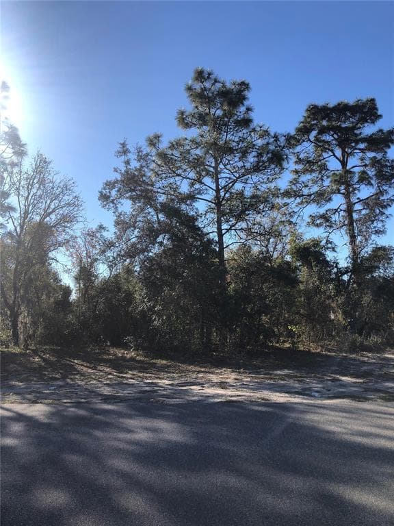 TROLLMAN STREET SPRING HILL, FL 34609